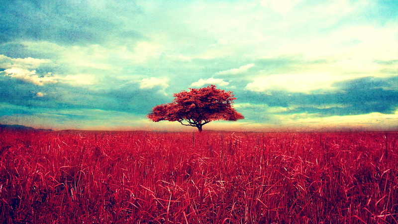vintage, landscape, nature, hd, scene, 1080P