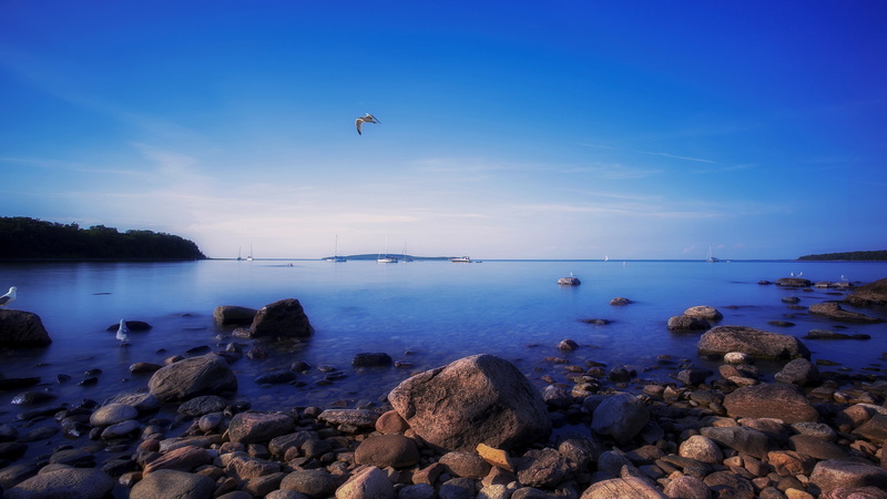 hd widescreen high quality desktop nature wild 3840x2160, 4K