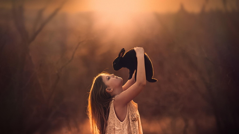 sunlight, one person, hairstyle, animals, sky, holding, women, offspring, young adult, adult, lifestyles, nature, human arm, long hair, outdoors, beauty