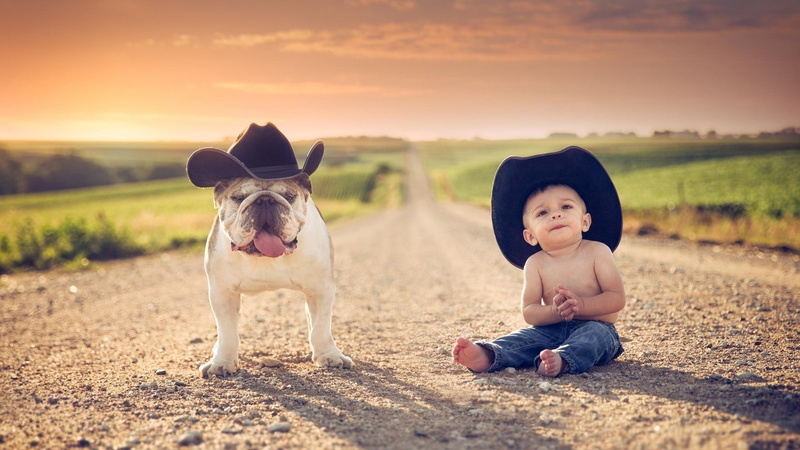 sky, 1080P, childhood, dog, one animal, animal themes, nature, baby clothing, animal, child, innocence, canine, small, domestic animals, mammal, baby