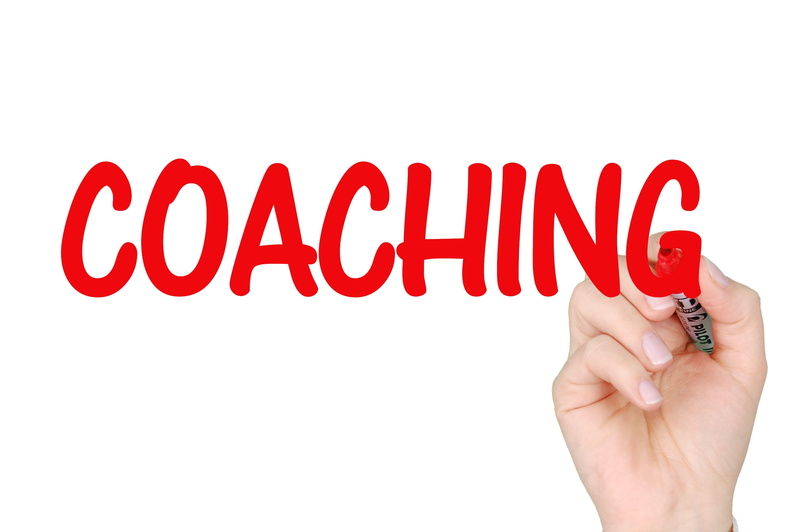 hand, indoors, coaching business, occupation, human hand, business, adult, western script, 2K, red, business coaching, human finger, communication, holding