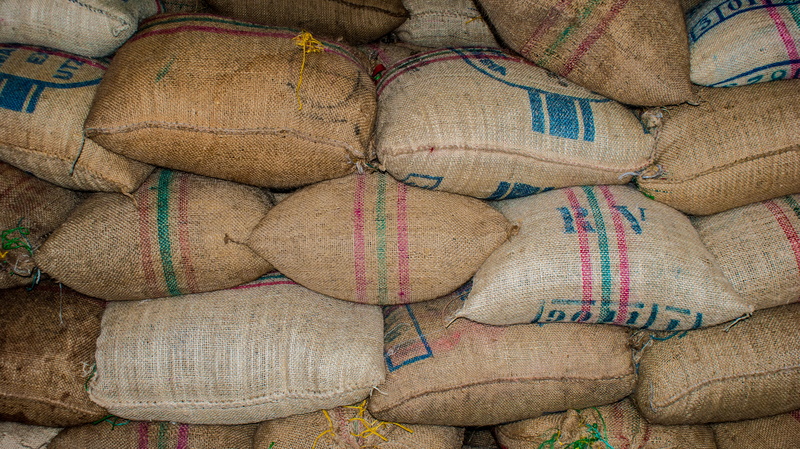 outdoors, full frame, pile, abundance, bean, high angle view, day, industrial, green, fishing industry, grain, coffee, food, arrangement, backgrounds, stack