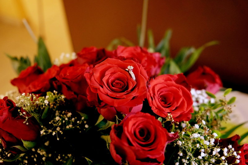 inflorescence, plant part, bouquet of roses, flowers, marriage proposal, close-up, red, plant, rose - flower, indoors, feelings, 4K, flower head, romantic