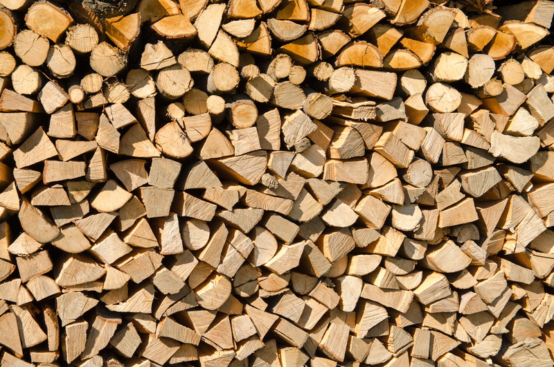 oars, lens cap, chain, fox, 4K, large group of objects, path, full frame, lumber, lot, wood - material, texture, wedge, natural, winter, brown, tree, chopped
