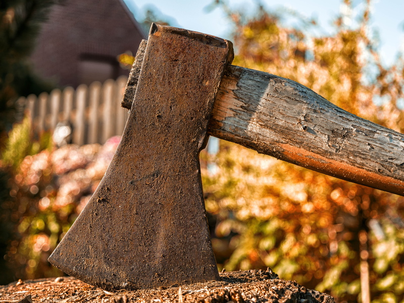 day, cutting, blade, ax, plant, brown, metal, boundary, rusty, hoe, 5K, forest, bark, wood - material, hand saw, weathered, fence, close-up, cases, make wood