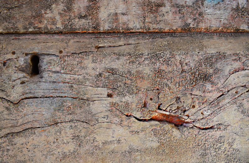 weathered, lock pick, brown, wooden door, soil, wall - building feature, rock, animal themes, rust, abstract, vertebrate, animal, architecture, reptile