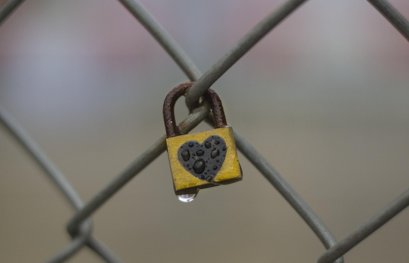 autumn, symbol, East  London, focus, love, photography, safety, East London, security, 2K, London  East, wind, Heart, shallow focus, protection, love  relationship