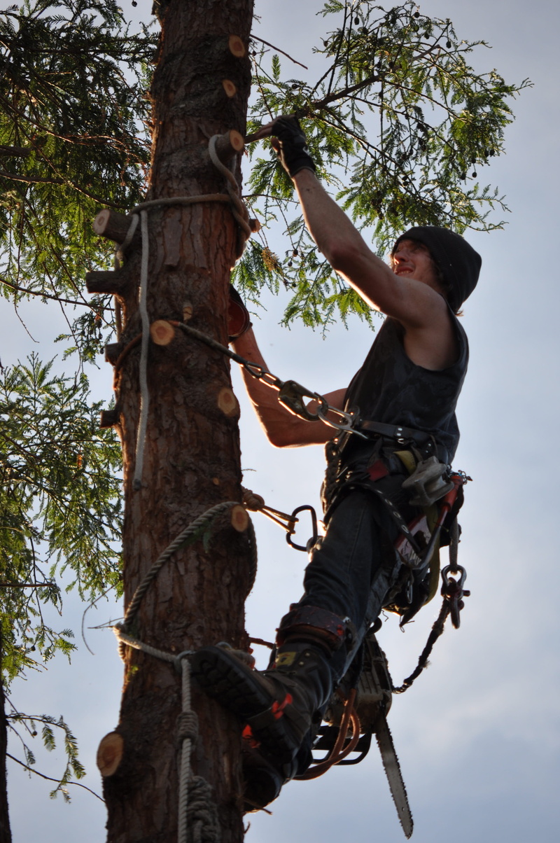 trunk, casual clothing, risk, lifestyles, sky, men, outdoors, side view, one person, man, day, climbing, nature, 4K, plant, real people, leisure activity