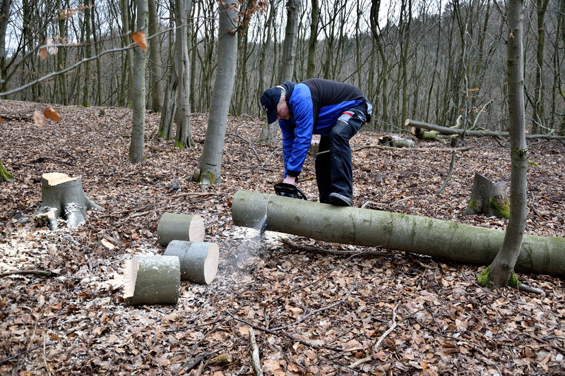 casual clothing, woodland, chainsaw, man, trunk, growth, lumberjack, people, lifestyles, warm clothing, real people, cold temperature, young adult, trees