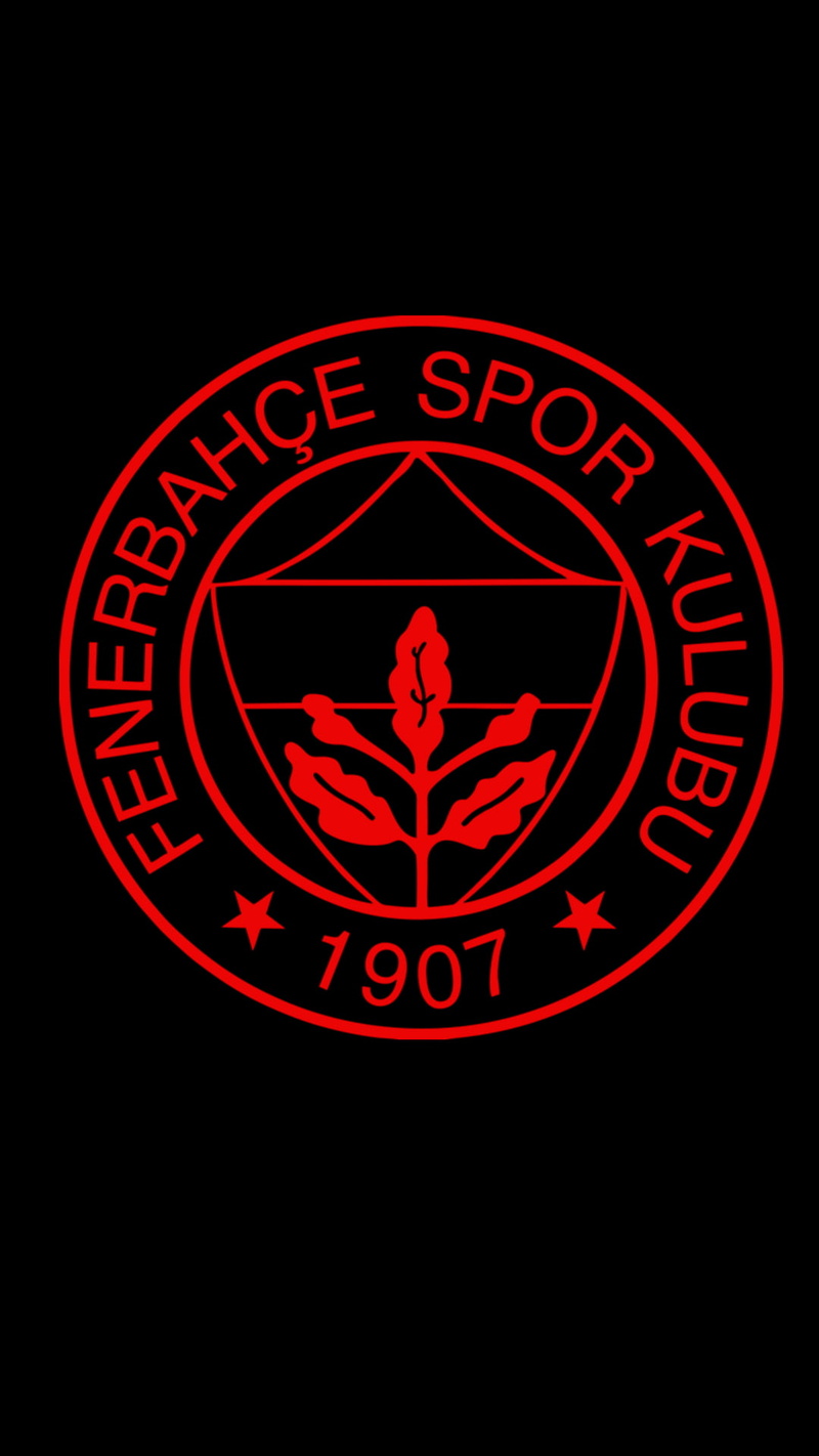 1080P, red, Fenerbahçe, Sport Club