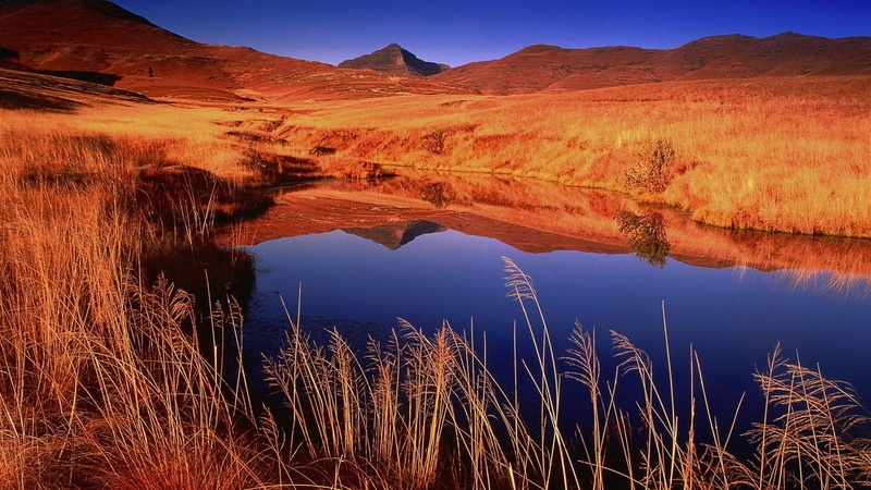 lake, brown, weeds, 1080P, rice, plains, nature and landscapes, water, near, body, hills, field