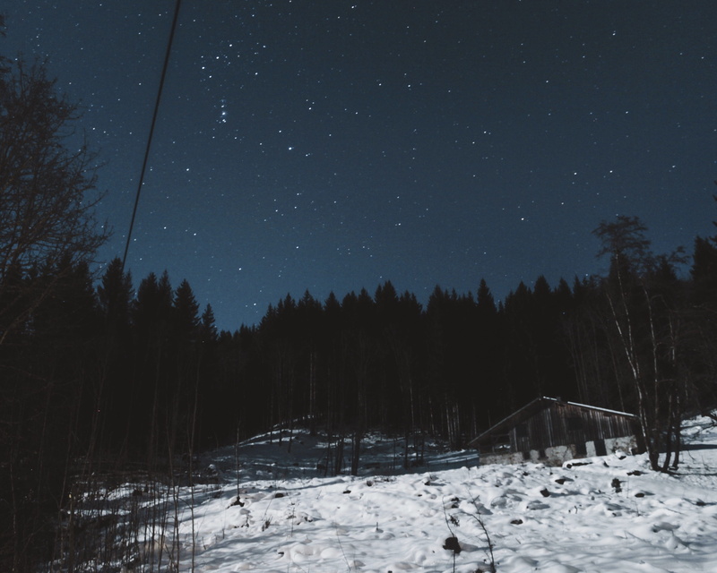 environment, near, pine, nature, field, trees, beauty in nature, plain, cold temperature, star - space, tranquil scene, black, star, plant, forest, silhouette