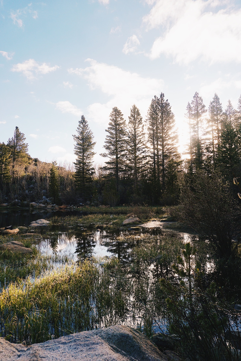 beauty in nature, sunrise, non-urban scene, cloud - sky, united states, pond, reflection, forest, scenics - nature, outdoors, swamp, eastern sierras