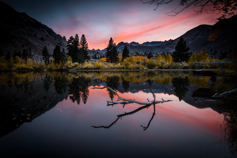 outdoors, landscape, lake, sky, 720P, water, mountains, Eastern Sierra, beauty In Nature, sunset, tree branch, forest, autumn, body of water, Owens Valley  California