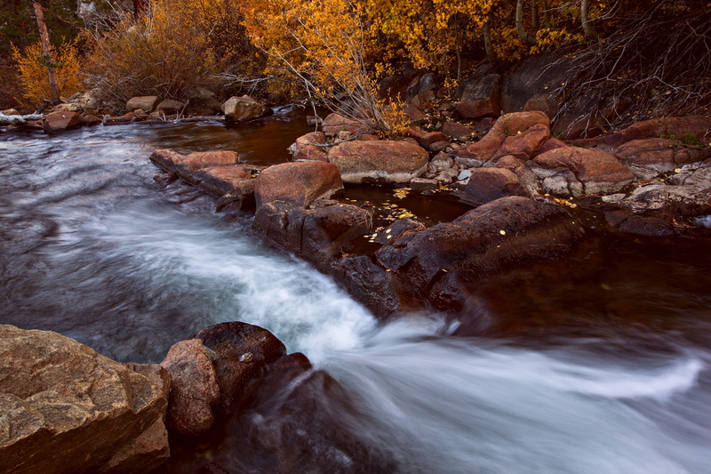 scenics, beauty In Nature, Bishop Creek, near, tree, water, forest, autumn, Eastern Sierra, Fall color, bishop, river, rapids, creek, body, rock - Object