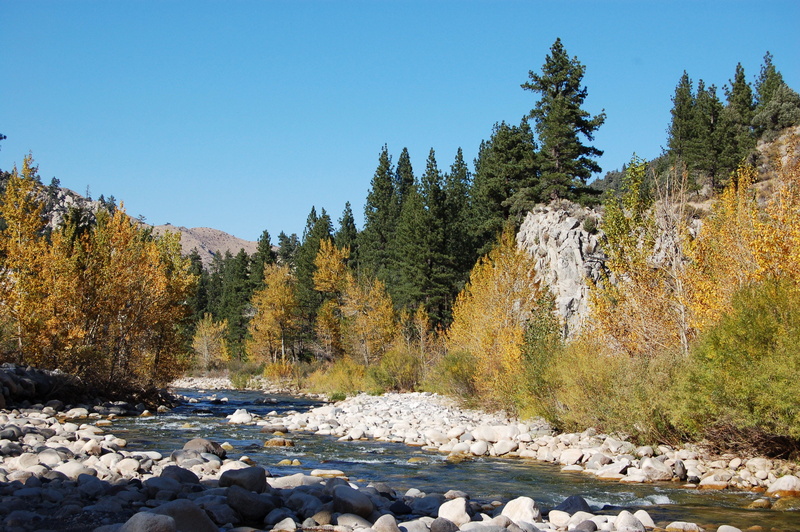 rock - object, outdoors, sierra nevada, tree, fall, walker river, autumn, tranquility, idyllic, fall colors, mountains, sierra, non-urban scene, change