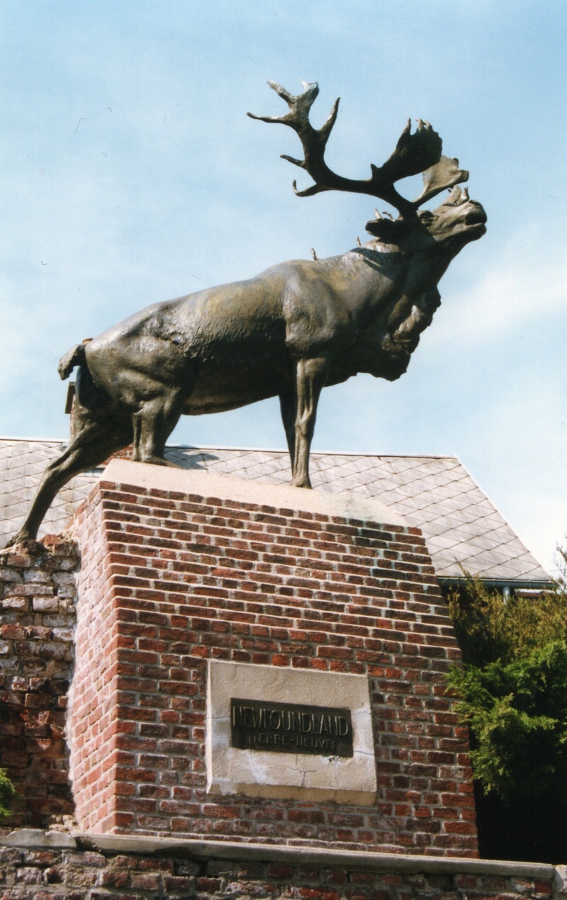 newfoundland, representation, great war, caribou, domestic animals, statue, animal wildlife, animal, 1080P, monchy-le-brave, mammal, france, sculpture
