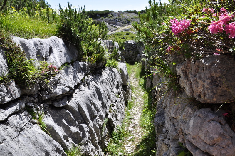 ortigara, solid, memory, trenches, history, army, flowing water, memorial, world, water, tree, rock, tranquility, outdoors, non-urban scene, trench, tranquil scene