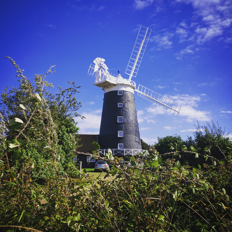 united kingdom, environmental conservation, renewable energy, buildings, fuel and power generation, low angle view, tree, outdoors, no people, burnham overy staithe