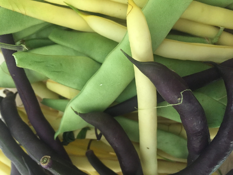 pepper, 2K, healthy eating, indoors, vegetable, full frame, yellow, no people, purple, succulent plant, nature, leaf, green, plant part, plant, growth