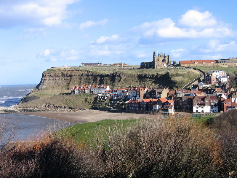 water, plant, environment, north yorkshire, land, beach, no people, beauty in nature, building exterior, residential district, day, nature, harbour, whitby