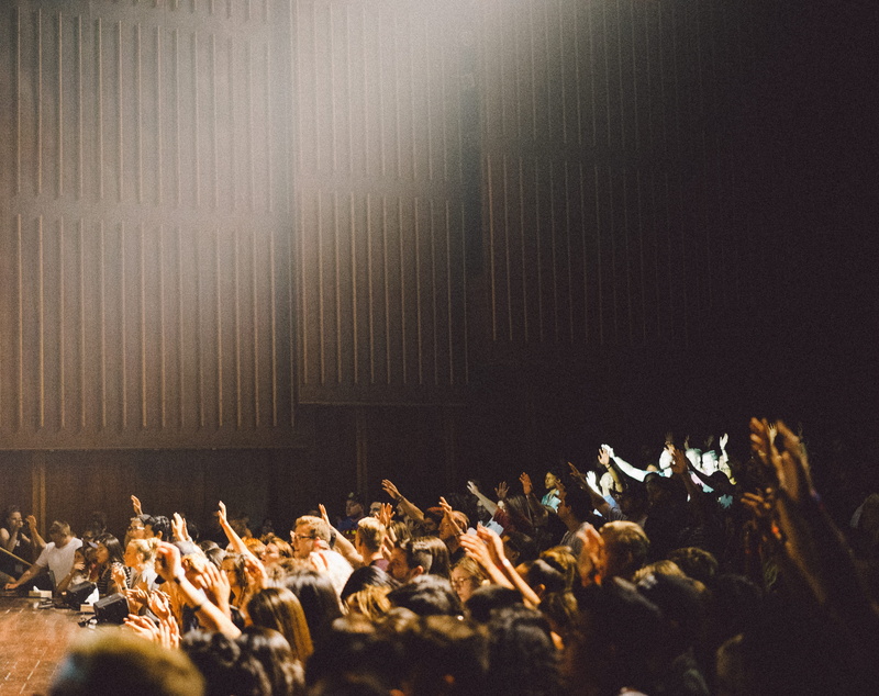 real people, animal themes, near, raising, vertebrate, 4K, people, crowd, group of people, human arm, audience, raise, excitement, building, indoors, inside