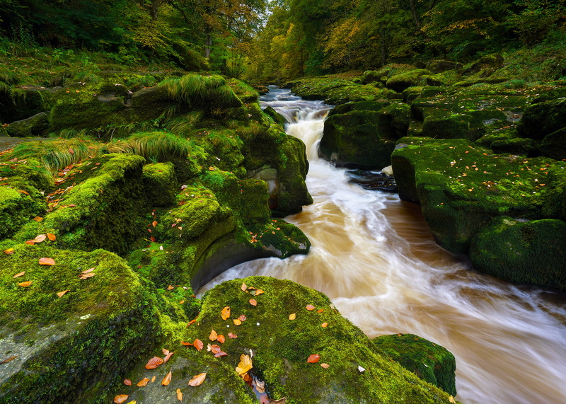 moss, Wharfedale, The Yorkshire Dales, River Wharfe, river, 1080P, The River Wharfe, England, stones, North Yorkshire, Bolton Abbey, autumn, Yorkshire Dales