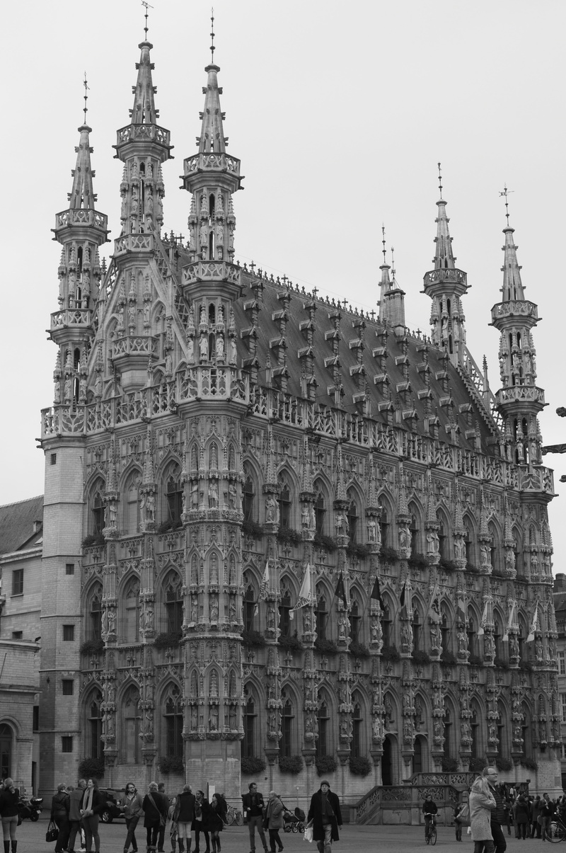 Building, crowd, religion, belief, Town Hall, history, architecture, Leuven, building exterior, spirituality, 5K, tourism, place of worship, Gothic, travel destinations