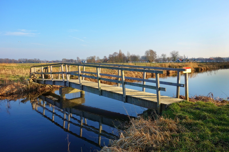 river, gray, rural, tree, arch bridge, tranquil scene, bridge, middelpolder, countryside, 4K, plant, sky, architecture, stream, skyline, horizon, no people