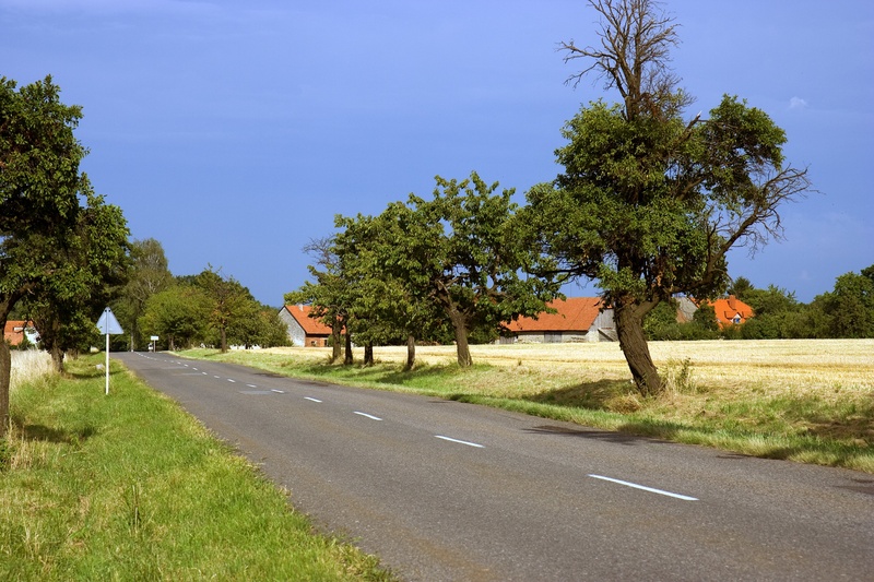 transportation, growth, country, landscape, sign, countryside, scenery, sky, no people, summer, scenic, nature, blue, beauty in nature, rural, grass, architecture