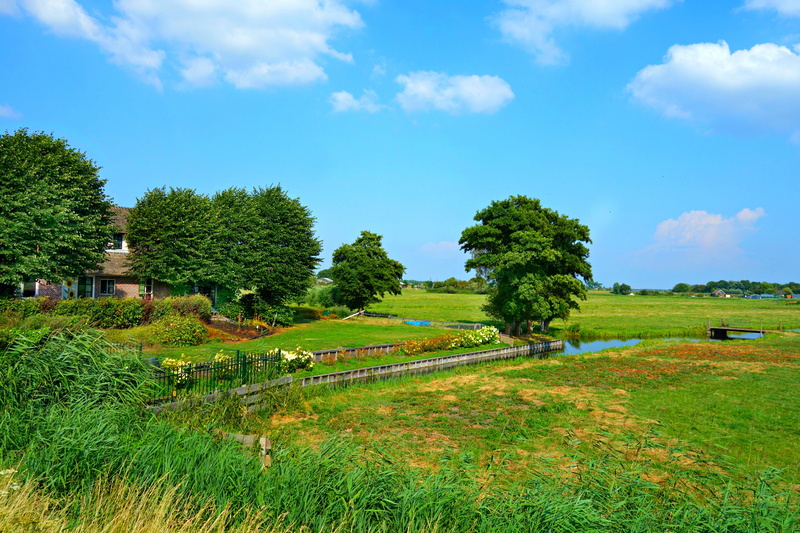 flat, characteristic, farmhouse, polder, landscape, netherlands, nature, agriculture, tree, no people, dutch landscape, typically dutch, meadows, sky, 4K