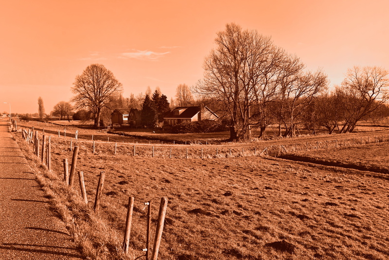 4K, polder, sky, post, bare tree, meadow, agriculture, landscape, monochrome, road, fence post, rustic, rural, farmhouse, mud, environment, tree, scenic