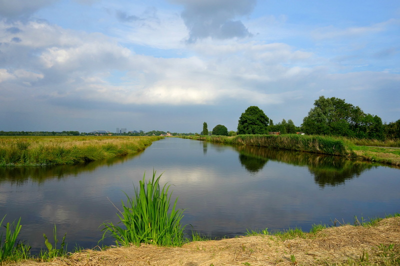 nature, scenics - nature, waterside, lake, landscape, reflection, flat land, water, tranquil scene, sky, tranquility, meadows, tree, day, grass, scenery