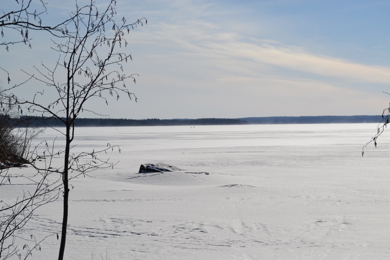 non-urban scene, bare tree, water, usual, fiels, in oulu lake, scenics - nature, tranquility, day, landscape, beach, land, snow, sea, driftwood, flat, wind