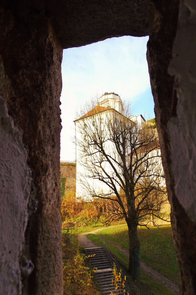 4K, water, plant, building exterior, building, river, built structure, danube, day, confluence, direction, tree, ilz, veste oberhaus, nature, old, trunk