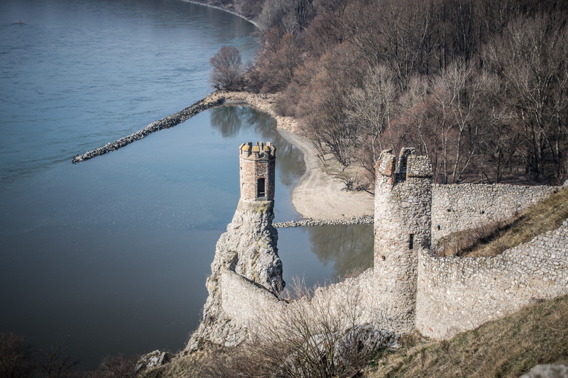 plant, the past, history, day, ruins, built structure, beauty in nature, strength, stone, reflection, architecture, building exterior, old, bare tree, water