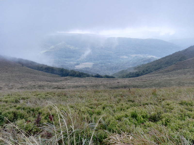stones, wild, day, tranquil scene, rock, non-urban scene, top view, ski, elevator, kajakować, forrest, stone, tranquility, outdoors, fog, 4K, plant, snake