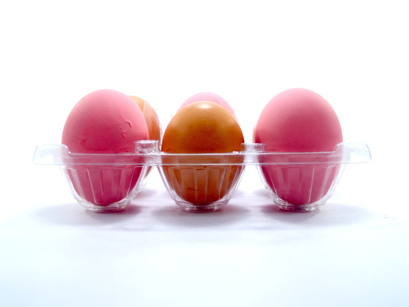 food, fresh, product, food and drink, healthy eating, poultry, pink color, delicious, uncooked, indoors, red, Pink, oval, cuisine, shell, century, breakfast