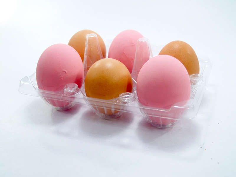 organic, easter, multi colored, delicious, healthy, color, pink color, background, poultry, breakfast, Pink, holiday, chicken, white background, pink, food and drink