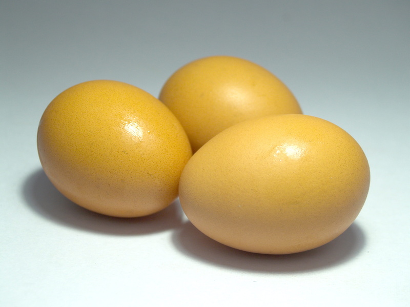 raw food, food, pink, organic, breakfast, healthy eating, two objects, farm, Market, three objects, macro, Eggshell, aliment, animal, protein, agriculture