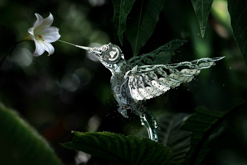 leaf, animal, fragility, flower, outdoors, vulnerability, nature, advertisements, clocks, invertebrate, focus on foreground, close-up, beauty in nature