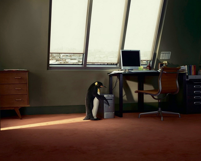 chair, businesswoman, home, office, desktop pc, seat, os, 720P, day, business, manager, men, internet, computer Monitor, working, penguin, table, computer