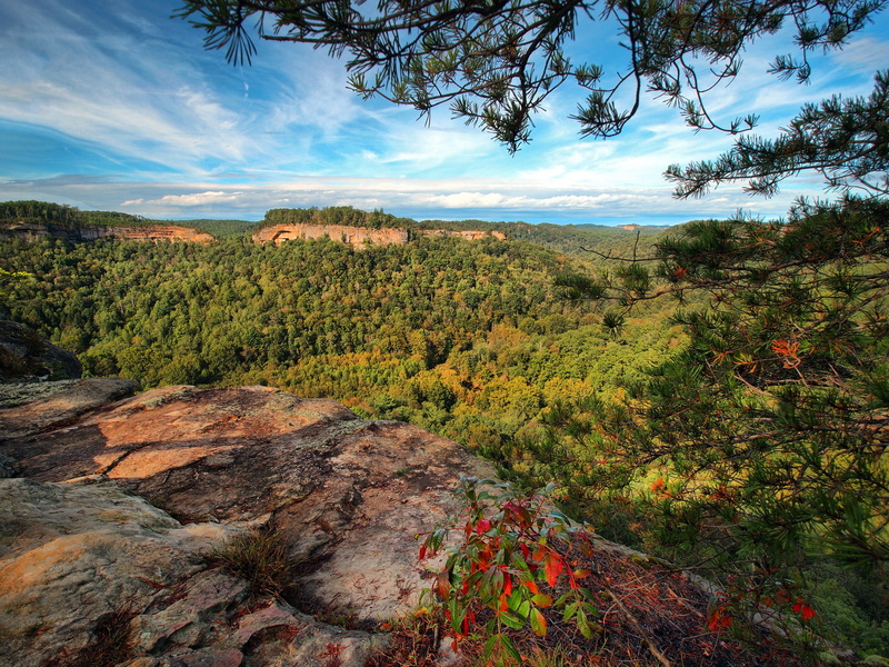 Chimney Top Rock, forest, mountains, 1080P, National forest Daniel Boone, branches, Kentucky, gorge Red river, panorama, Daniel Boone National Forest