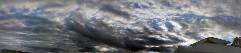 winter, cloud - sky, painting, cloudscape, building exterior, geese, low angle view, day, scenics - nature, sky, ominous, 4K, blue, built structure, outdoors