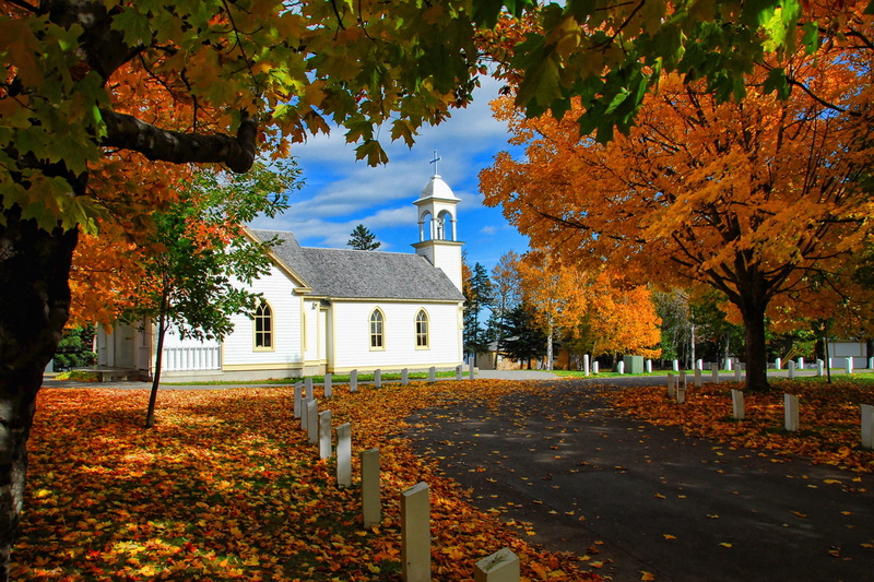 white, plant part, nature, outdoors, no People, plant, new brunswick, religion, 1080P, architecture, autumn, orange, Scenic, Season, new England - Usa