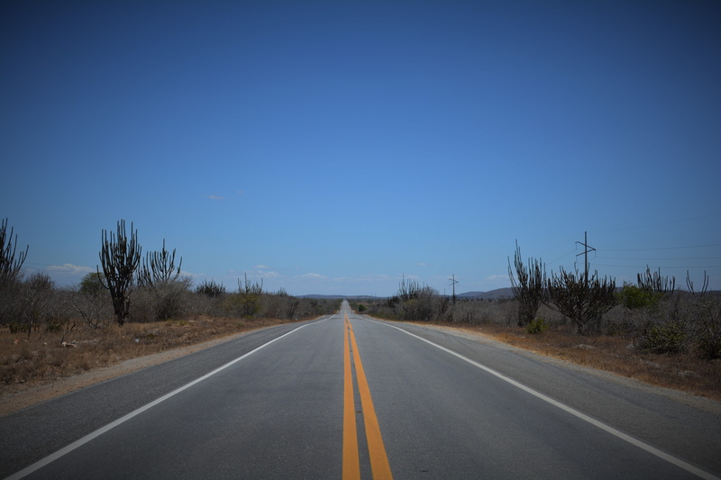 dividing line, tranquil scene, double yellow line, sign, backcountry, sky, tree, nature, clear sky, no people, diminishing perspective, direction, road