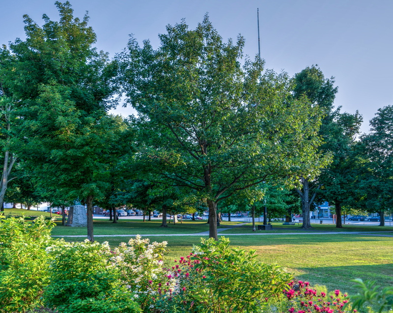 sky, outdoors, outdoor, park - man made space, usa, gardens, tranquility, flowers, incidental people, beauty in nature, new england, land, summer, scene