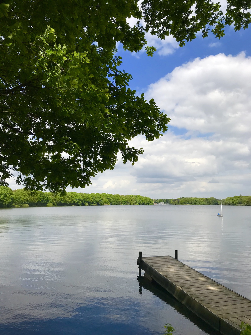 dom, tranquil scene, cloud, nature, wood, sky, scene, water, flowing, panoramic, plant, no people, horizon, beautiful, surface, marine, lake, travel, sea