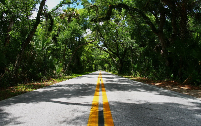 outdoors, road, 1080P, asphalt, symbol, road marking, direction, beauty in nature, day, sign, green color, transportation, plant, tree, dividing line