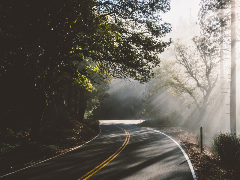 day, road, the way forward, no people, tree, daytime, travel, marking, curve, transportation, plant, 4K, foggy, dividing line, sign, double yellow line